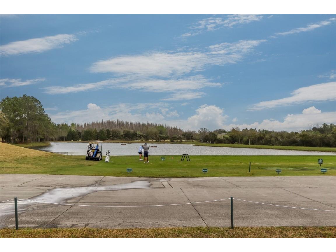 18118 Diamond Cove Court Tampa FL 33647 TB8417668 image60