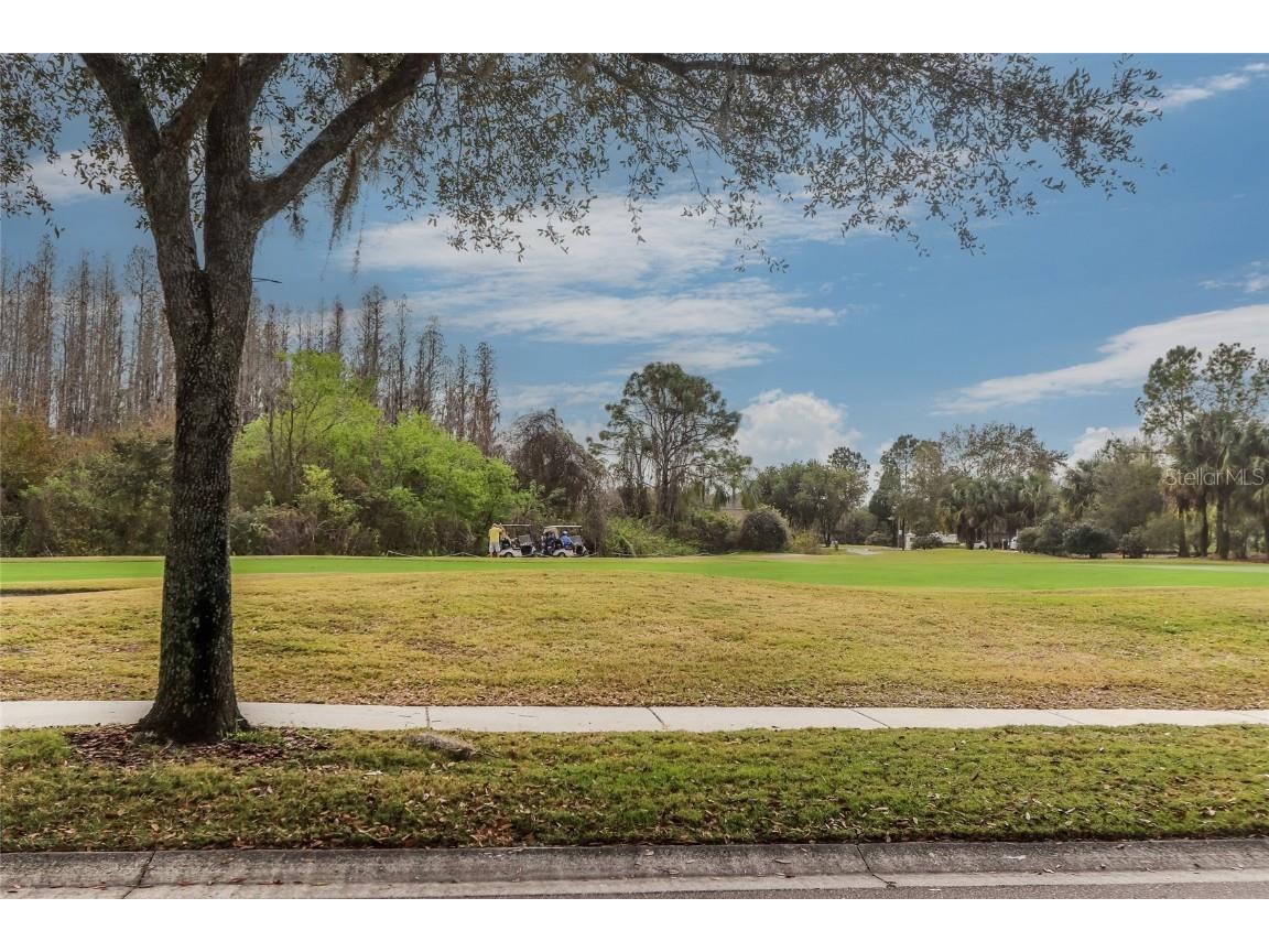 18118 Diamond Cove Court Tampa FL 33647 TB8417668 image61