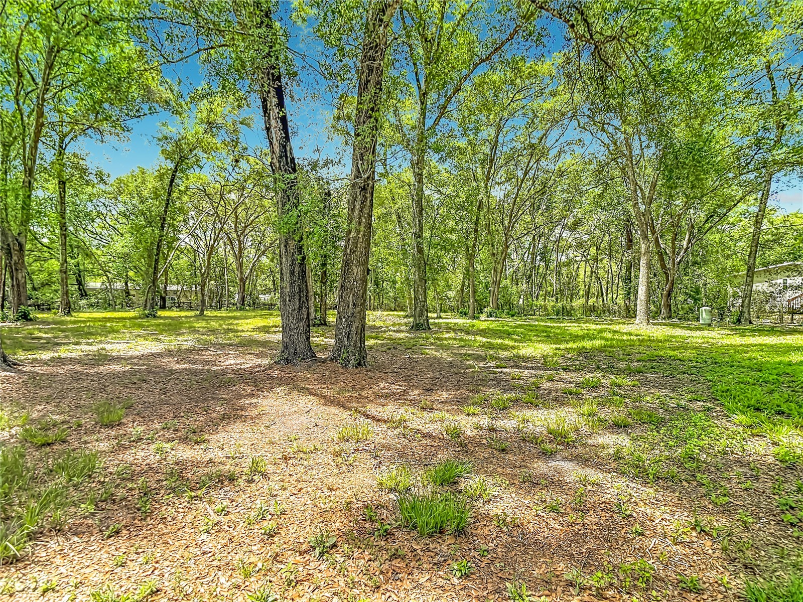 18118 Porsche Place Spring Hill FL 34610 TB8510236 image28