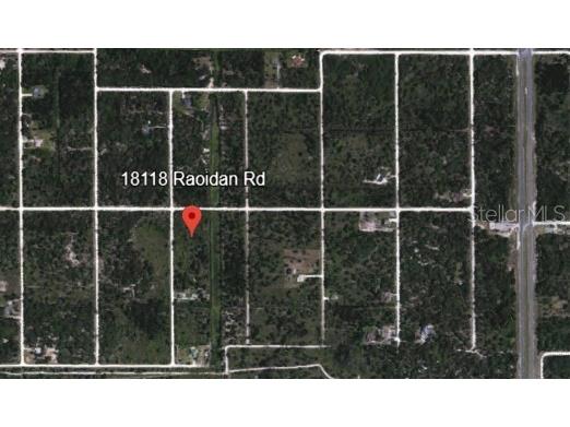 18118 Rapidan Road Weeki Wachee FL 34614 NS1084219 image4