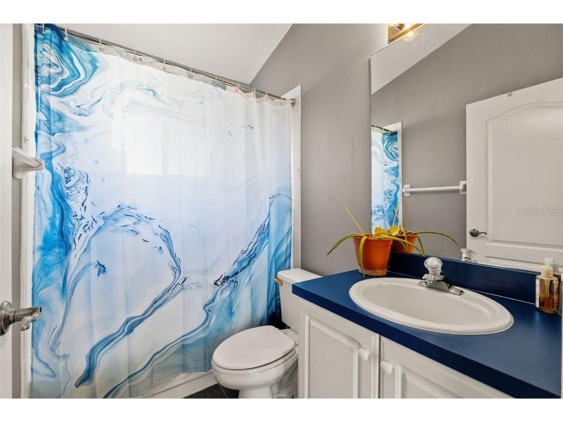 18118 Sweet Jasmine Drive Tampa FL 33647 W7881211 image29