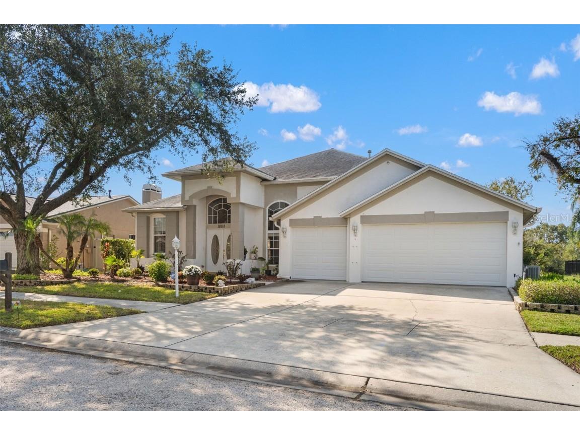 18118 Sweet Jasmine Drive Tampa FL 33647 W7881211 image3