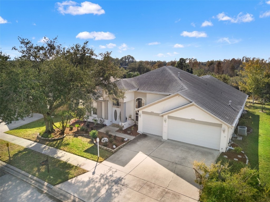 18118 Sweet Jasmine Drive Tampa FL 33647 W7881211 image4