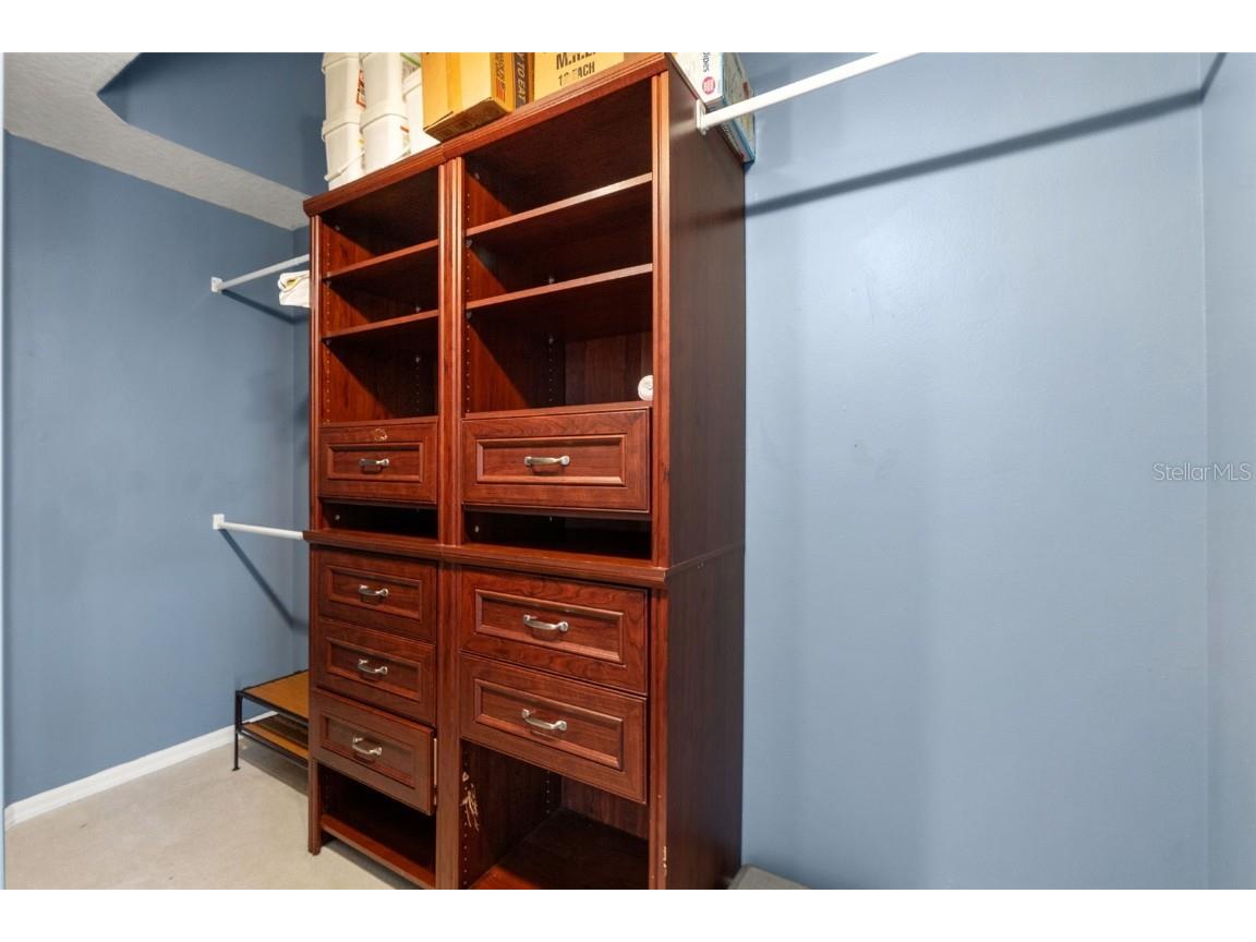 18118 Sweet Jasmine Drive Tampa FL 33647 W7881211 image47