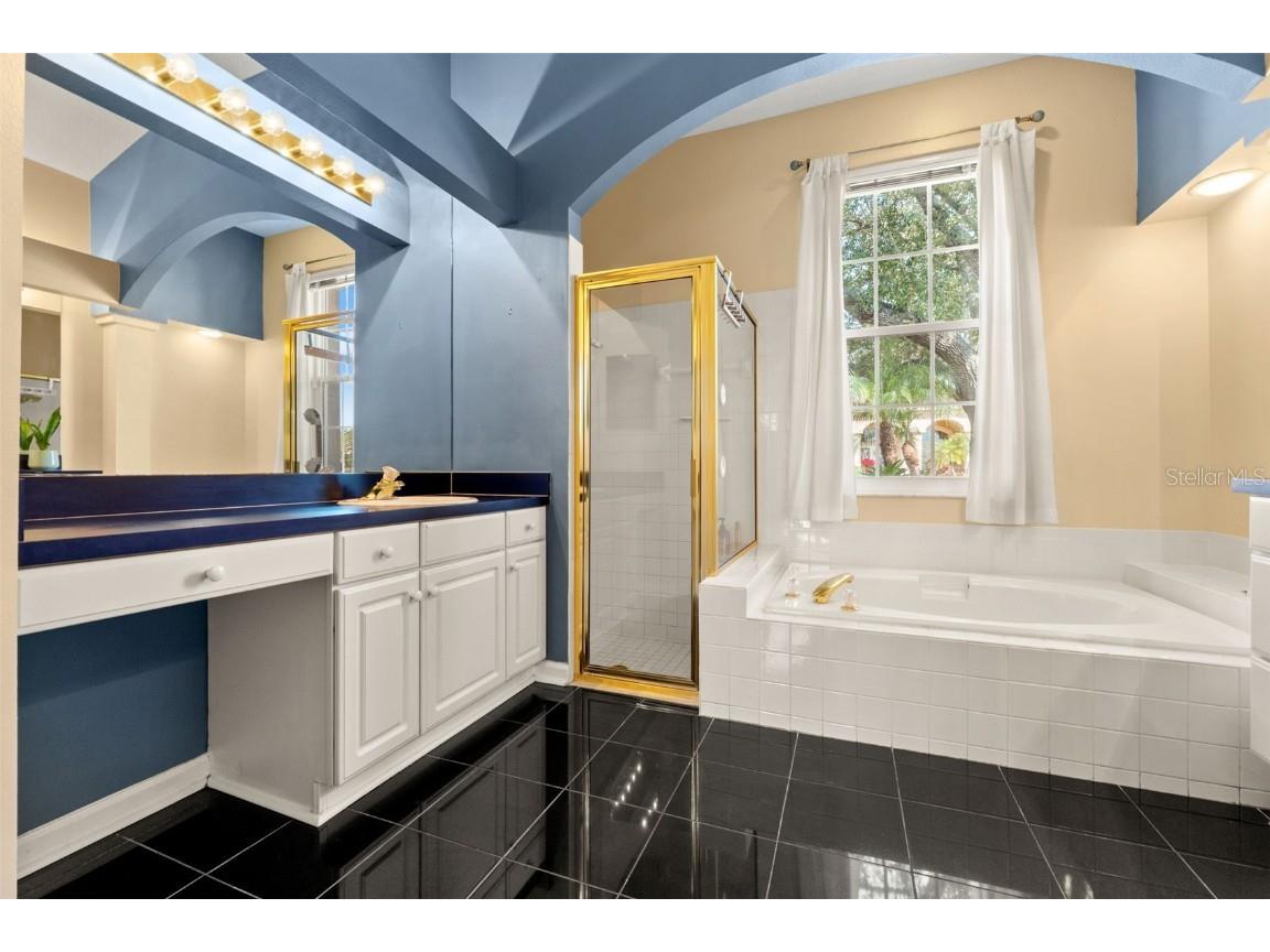 18118 Sweet Jasmine Drive Tampa FL 33647 W7881211 image49