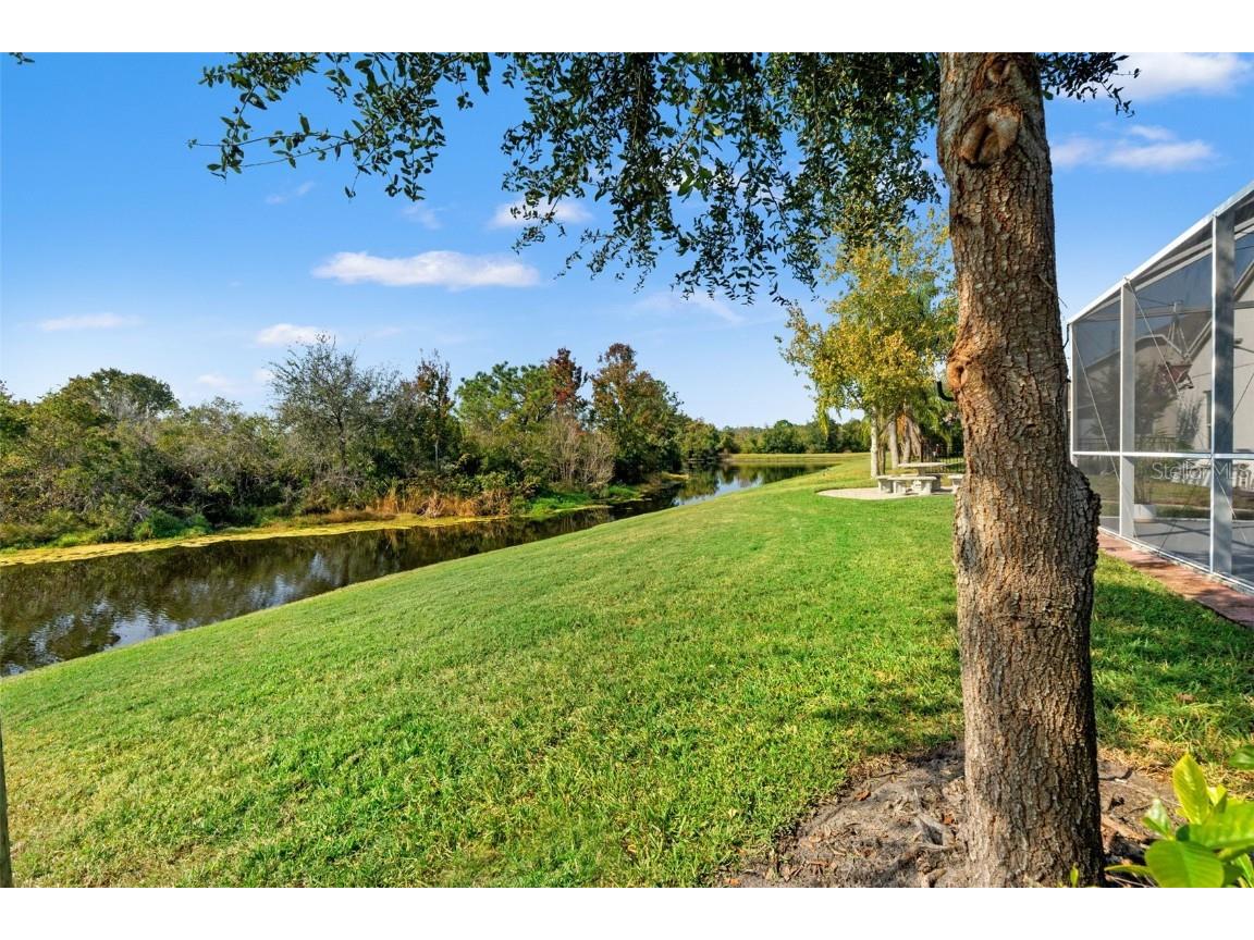 18118 Sweet Jasmine Drive Tampa FL 33647 W7881211 image64