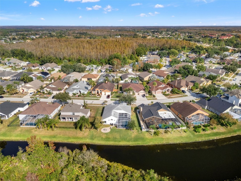 18118 Sweet Jasmine Drive Tampa FL 33647 W7881211 image8