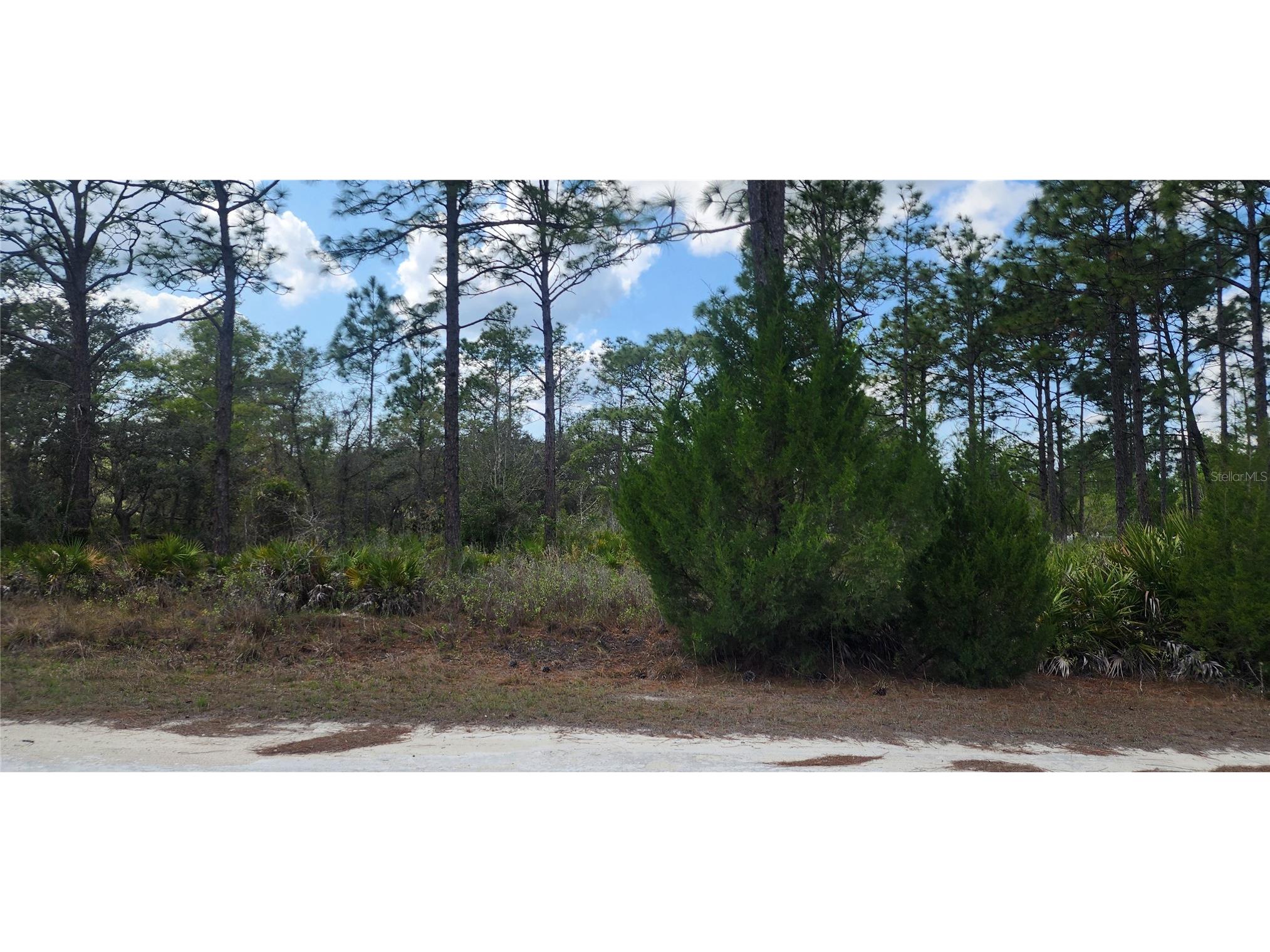 18119 Parrot Road Weeki Wachee FL 34614 TB8532116 image1