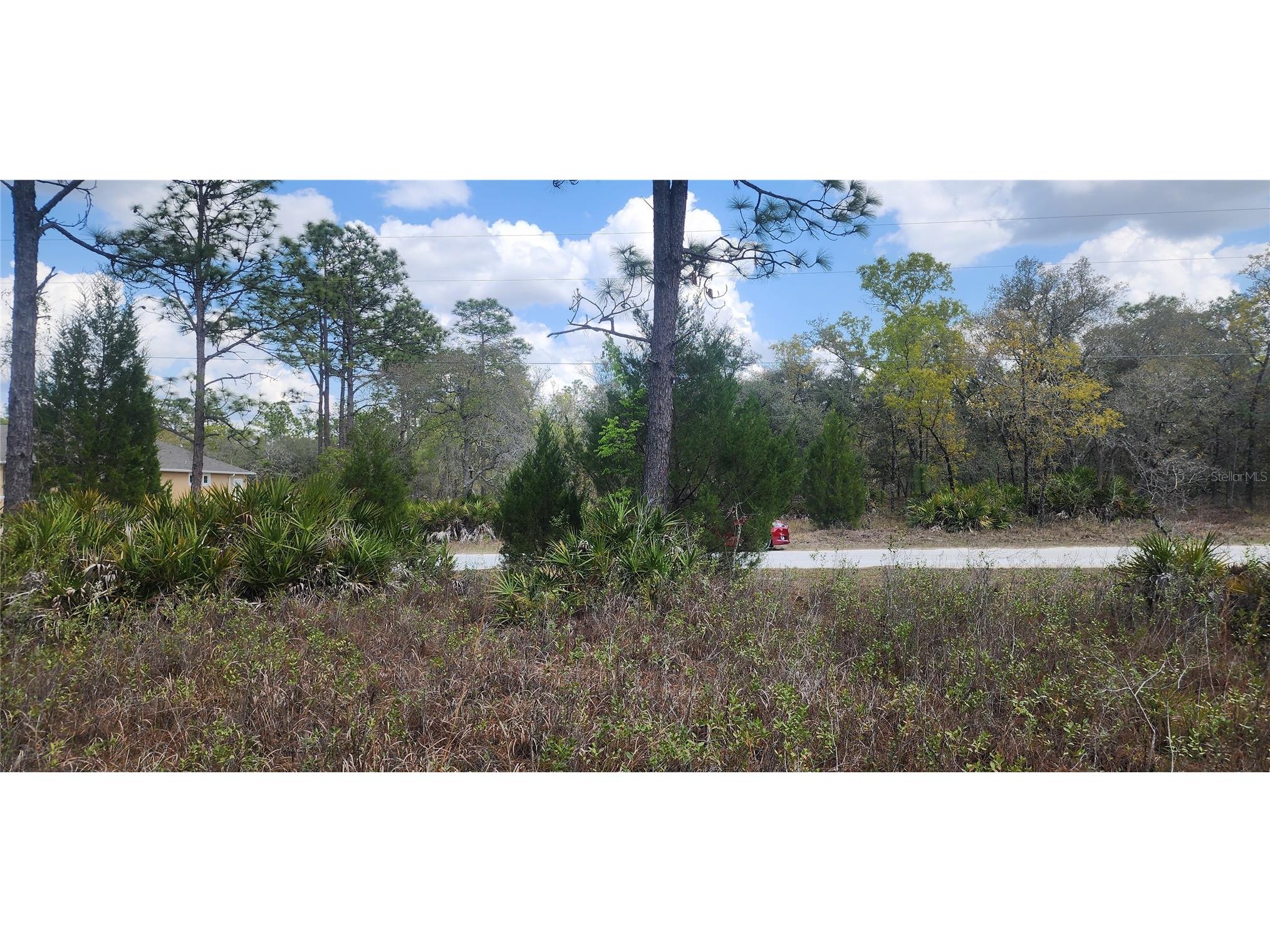 18119 Parrot Road Weeki Wachee FL 34614 TB8532116 image2