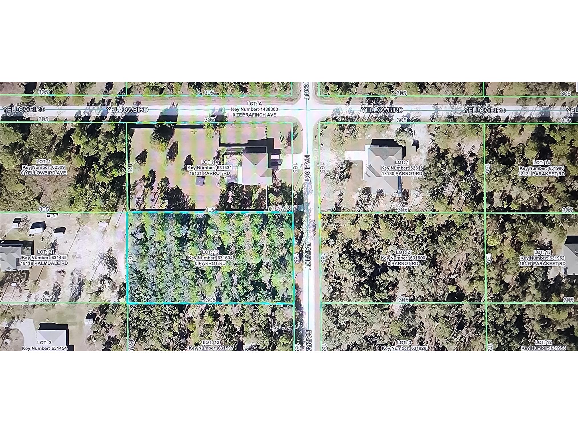 18119 Parrot Road Weeki Wachee FL 34614 TB8532116 image4