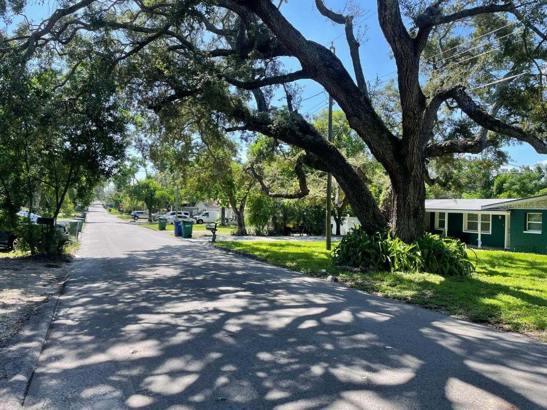 1812 E Okaloosa Avenue Tampa FL 33604 TB8526411 image17