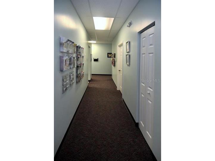 1812 Health Care Drive New Port Richey FL 34655 W7878199 image15