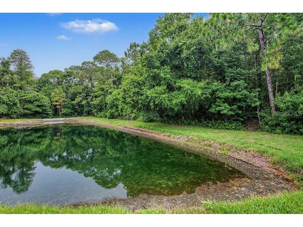 1812 Orchardgrove Avenue New Port Richey FL 34655 TB8512861 image36