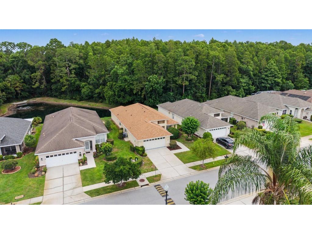 1812 Orchardgrove Avenue New Port Richey FL 34655 TB8512861 image4
