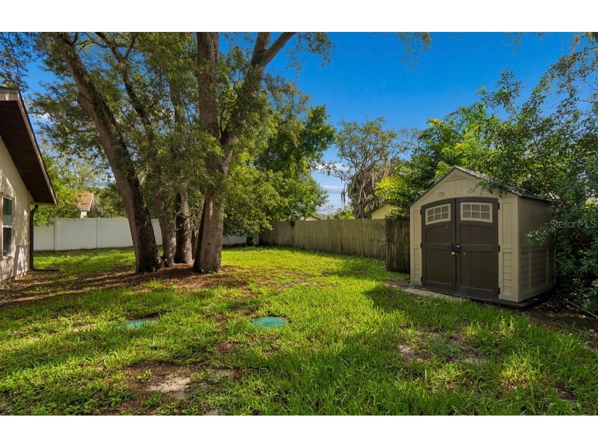 1812 Poinsettia Avenue Tarpon Springs FL 34689 TB8510924 image55