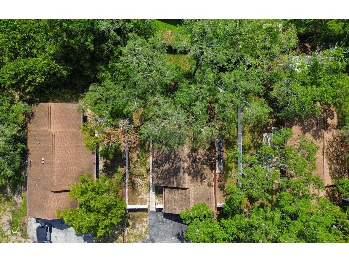 1812 Poinsettia Avenue Tarpon Springs FL 34689 TB8510924 image57