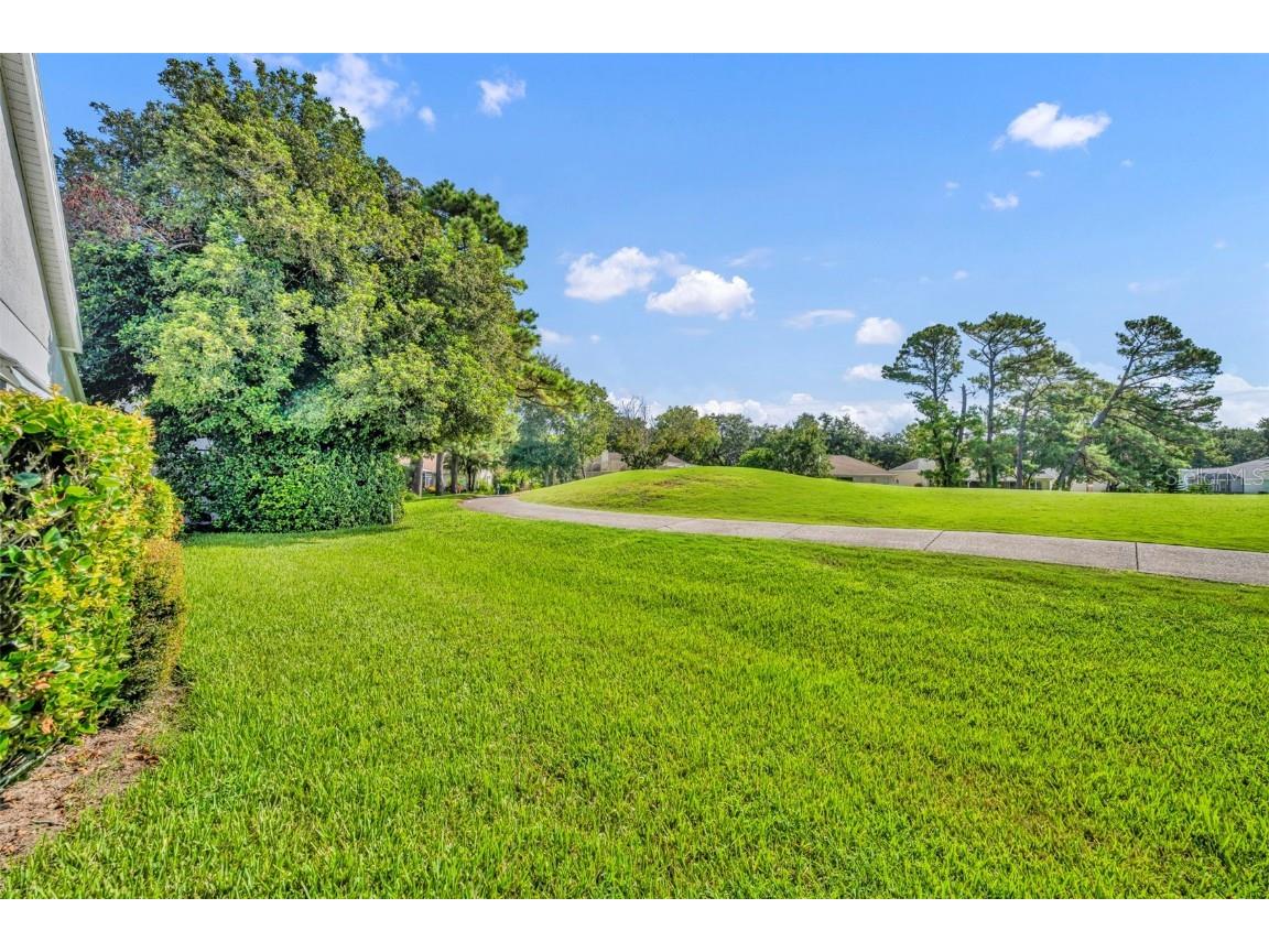 1812 Stafford Springs Boulevard Mount Dora FL 32757 G5105423 image32