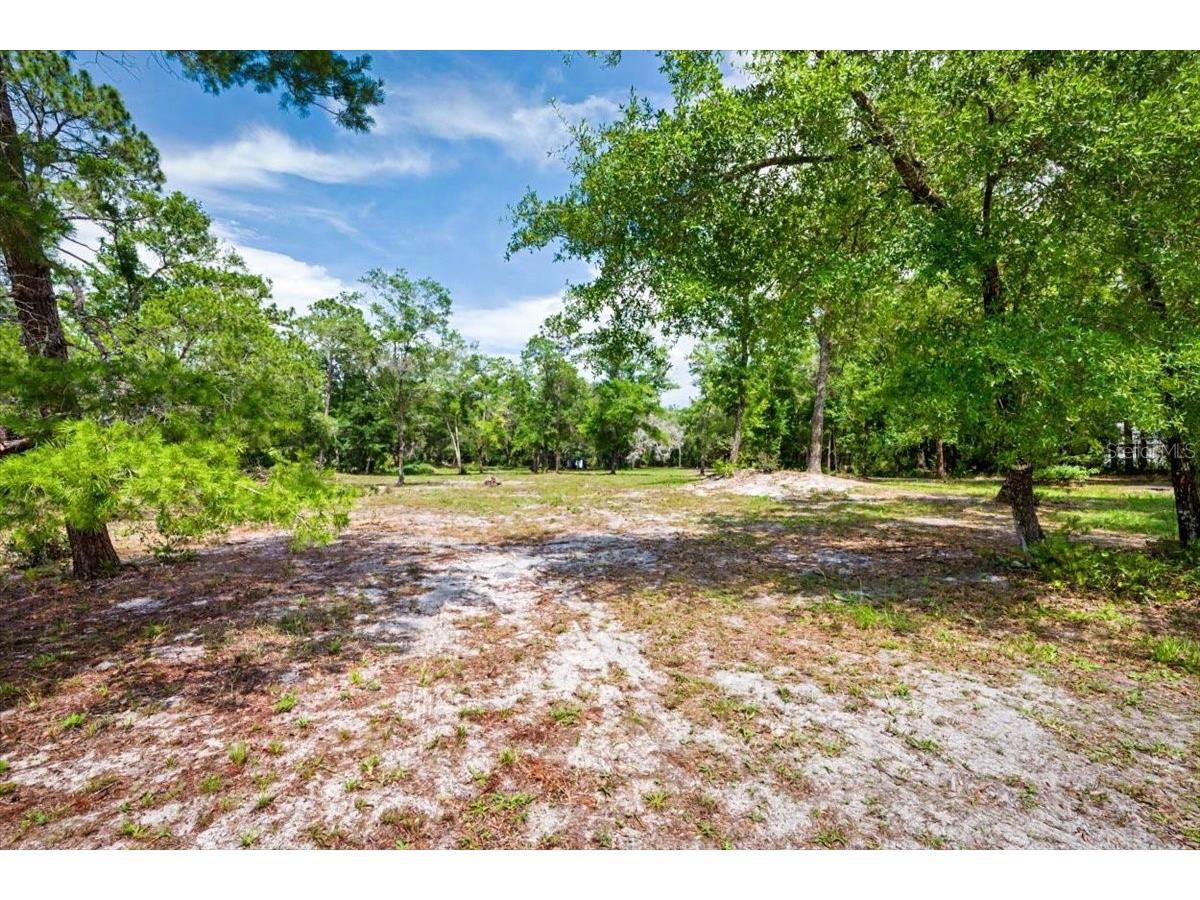 1812 Taylor Road Port Orange FL 32128 V4949425 image43