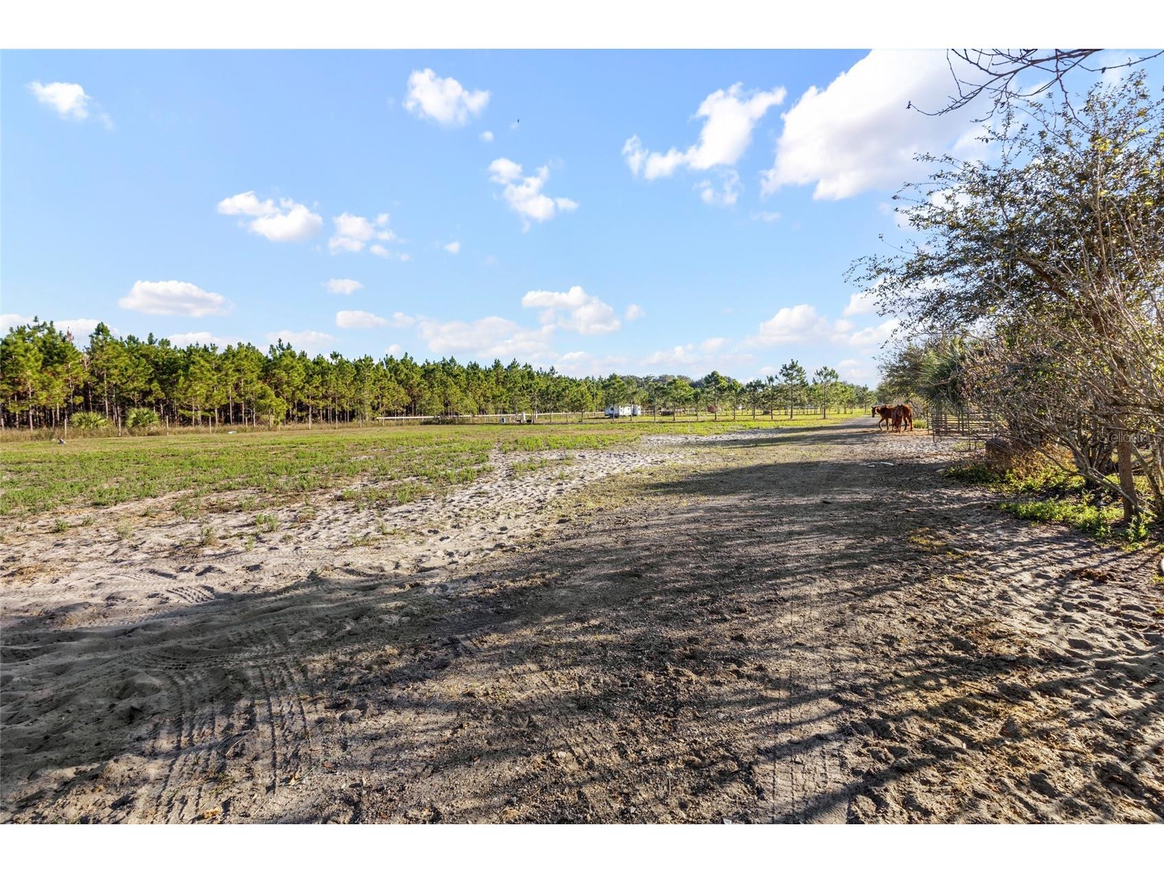 18121 Bethlehem Road Lithia FL 33547 TB8460380 image10