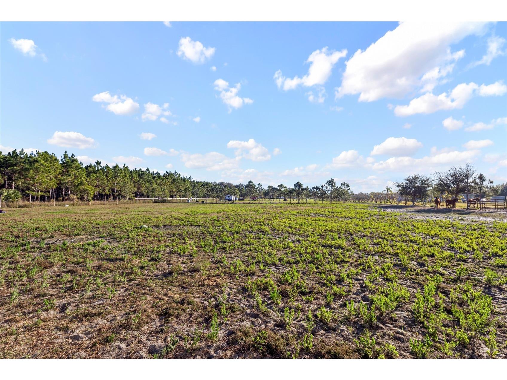 18121 Bethlehem Road Lithia FL 33547 TB8460380 image11