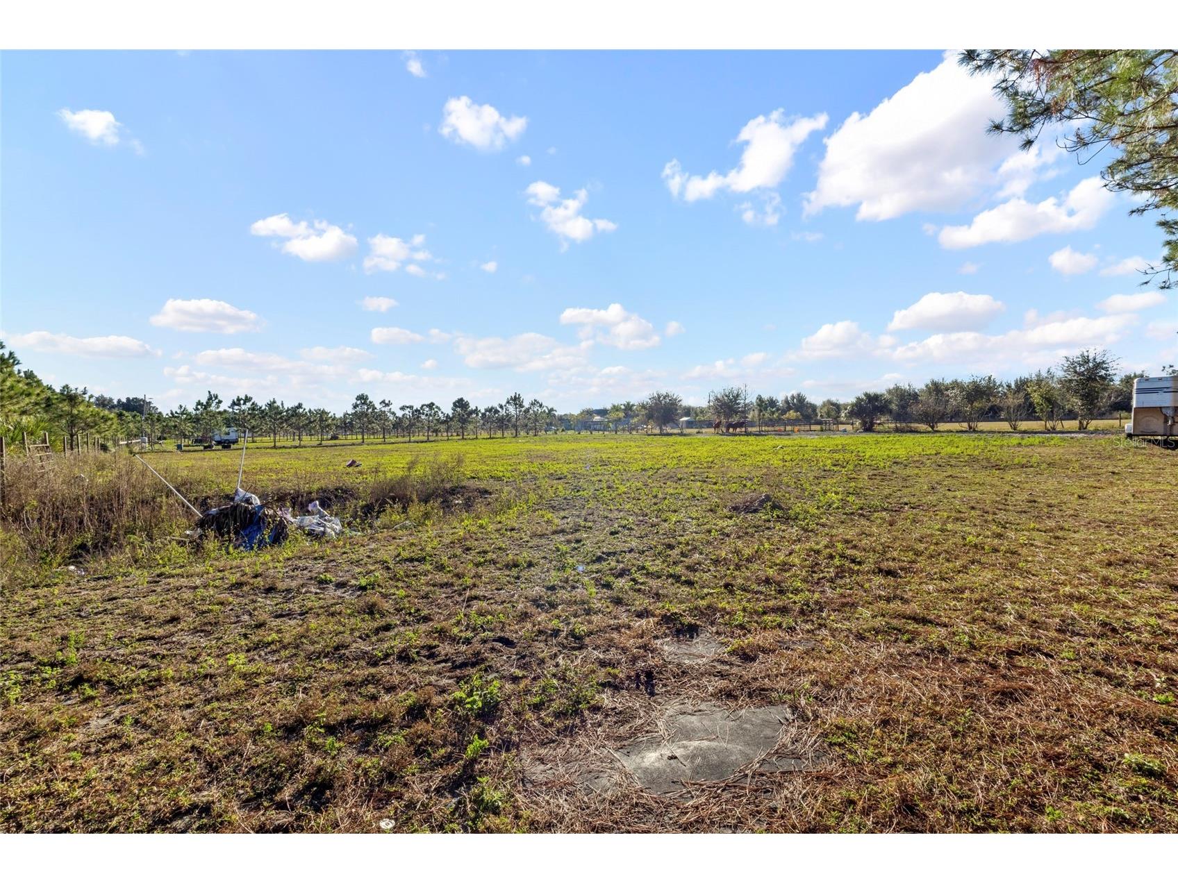 18121 Bethlehem Road Lithia FL 33547 TB8460380 image12