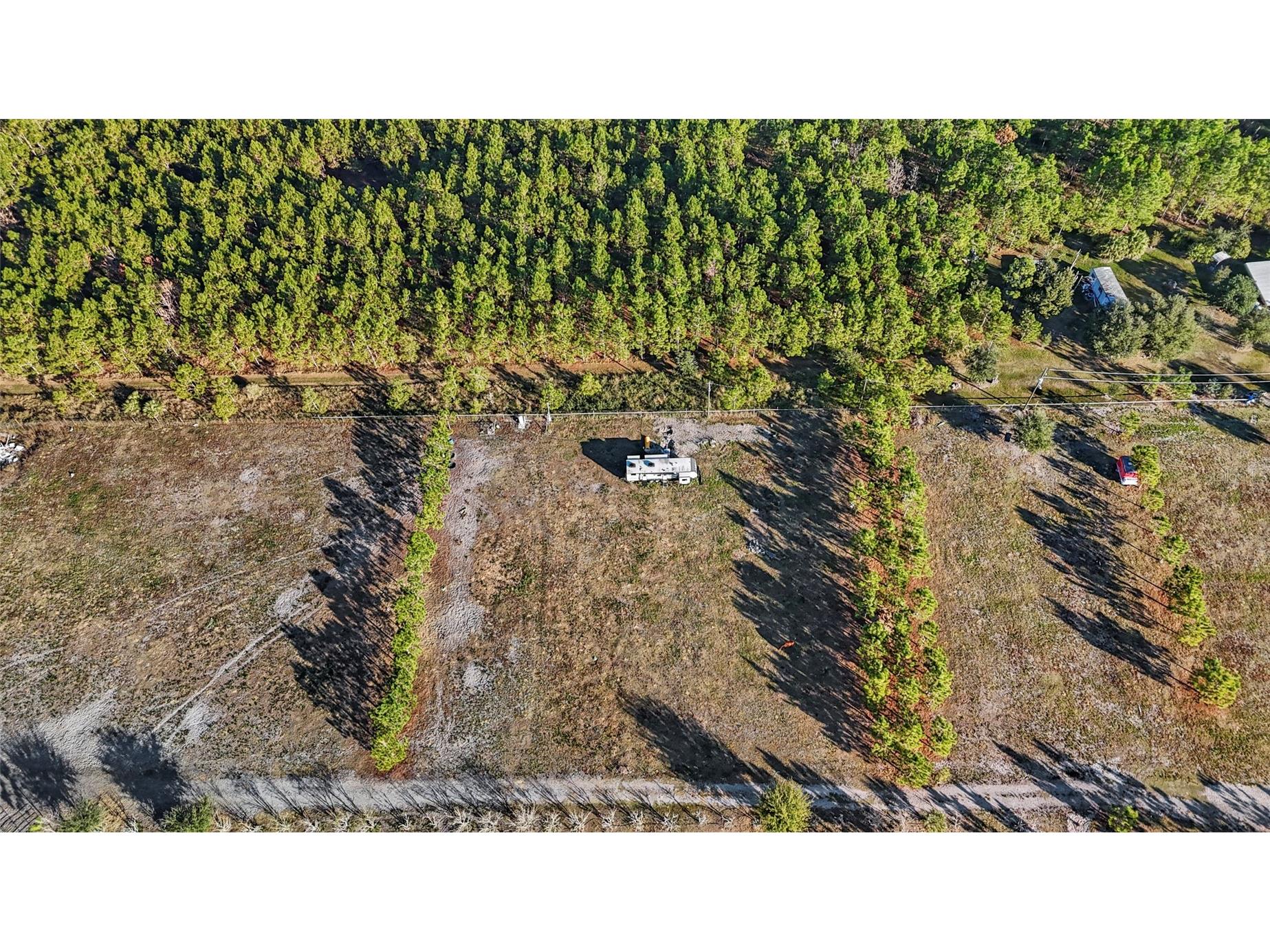 18121 Bethlehem Road Lithia FL 33547 TB8460380 image7