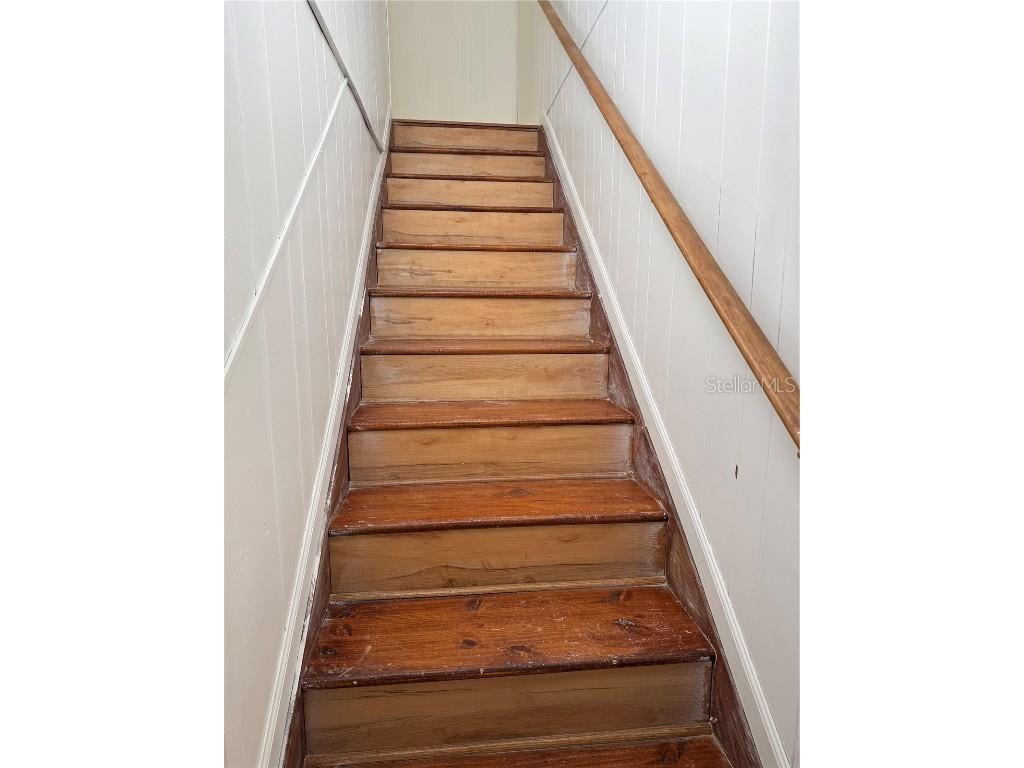 18121 Geraci Road Lutz FL 33548 TB8447719 image6