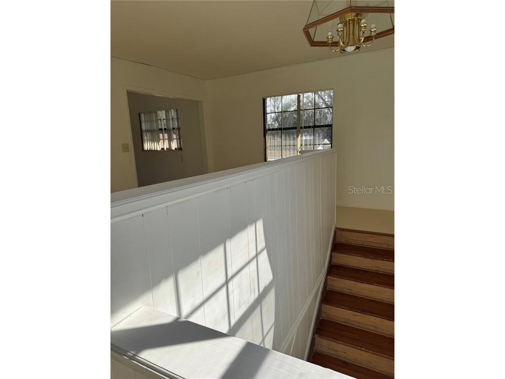 18121 Geraci Road Lutz FL 33548 TB8447719 image8