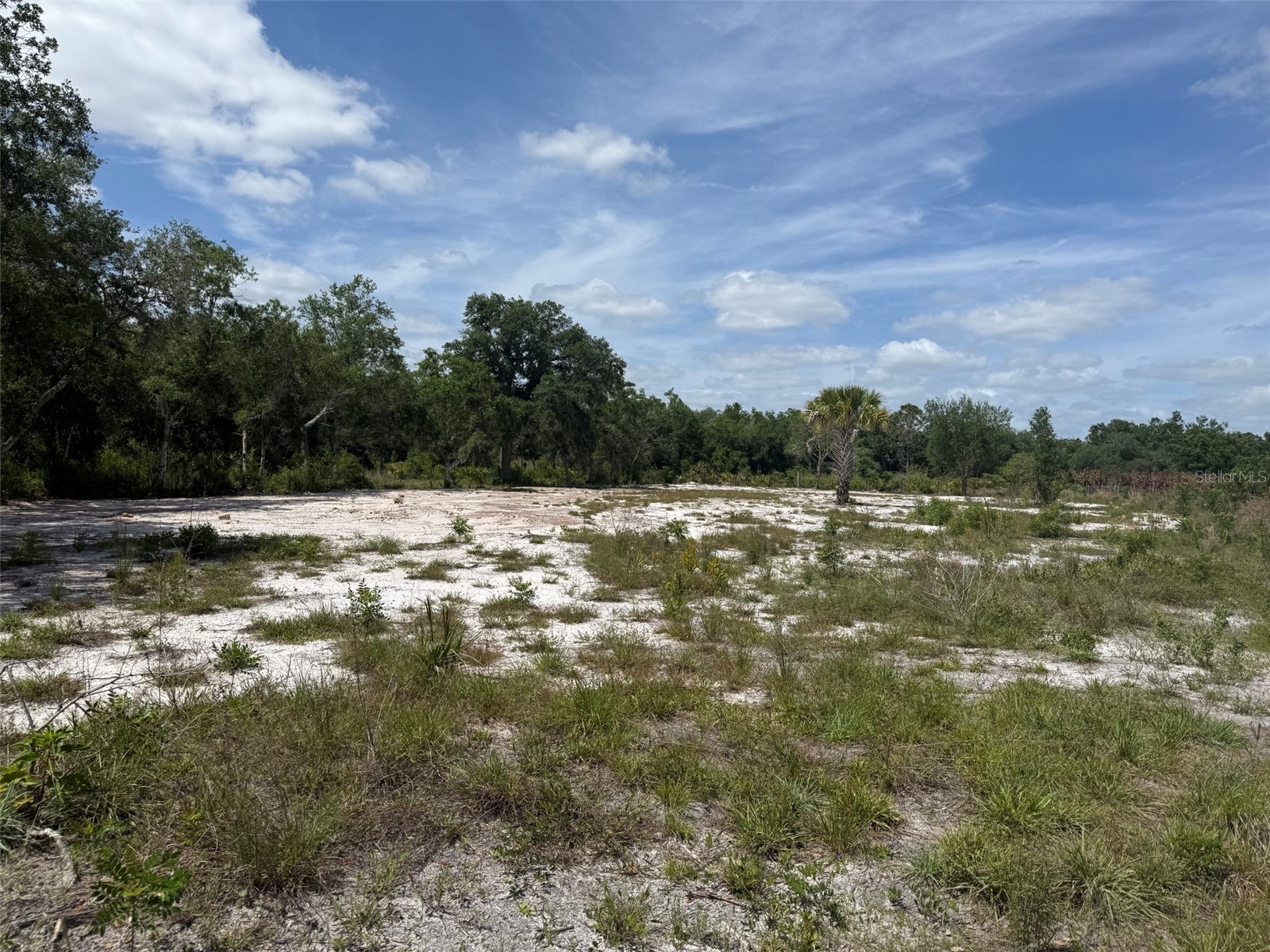 18121 NW 256th Street Okeechobee FL 34972 K4903374 image2