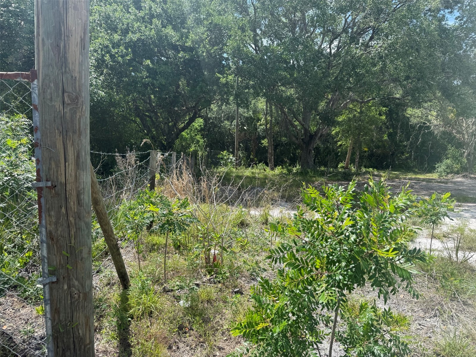18121 NW 256th Street Okeechobee FL 34972 K4903374 image4