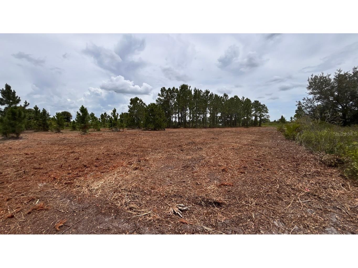 18121 NW 304th Street Okeechobee FL 34972 S5130316 image1