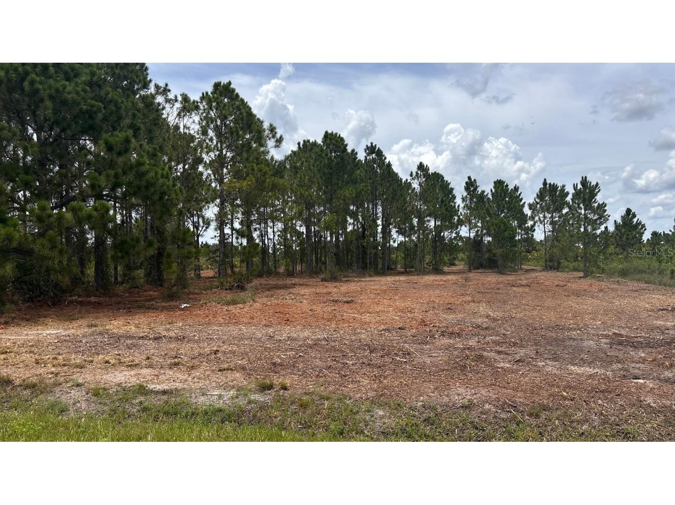 18121 NW 304th Street Okeechobee FL 34972 S5130316 image14