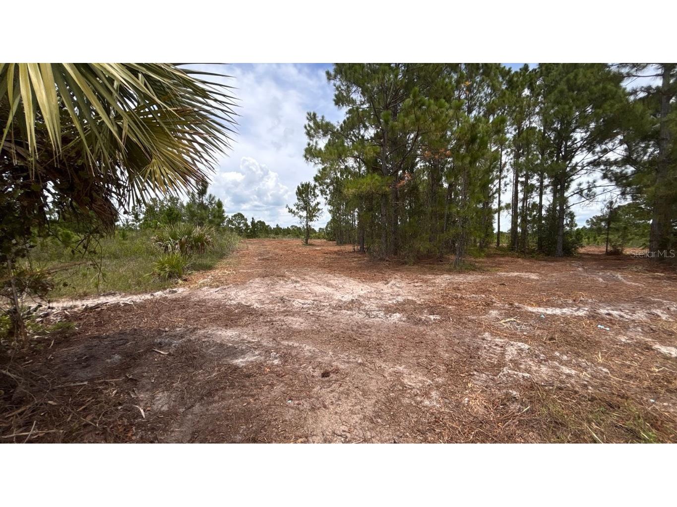 18121 NW 304th Street Okeechobee FL 34972 S5130316 image17