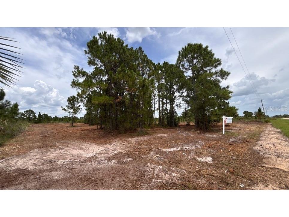 18121 NW 304th Street Okeechobee FL 34972 S5130316 image18