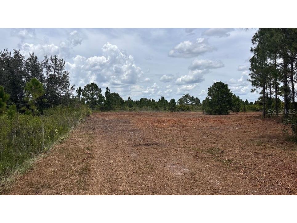 18121 NW 304th Street Okeechobee FL 34972 S5130316 image2