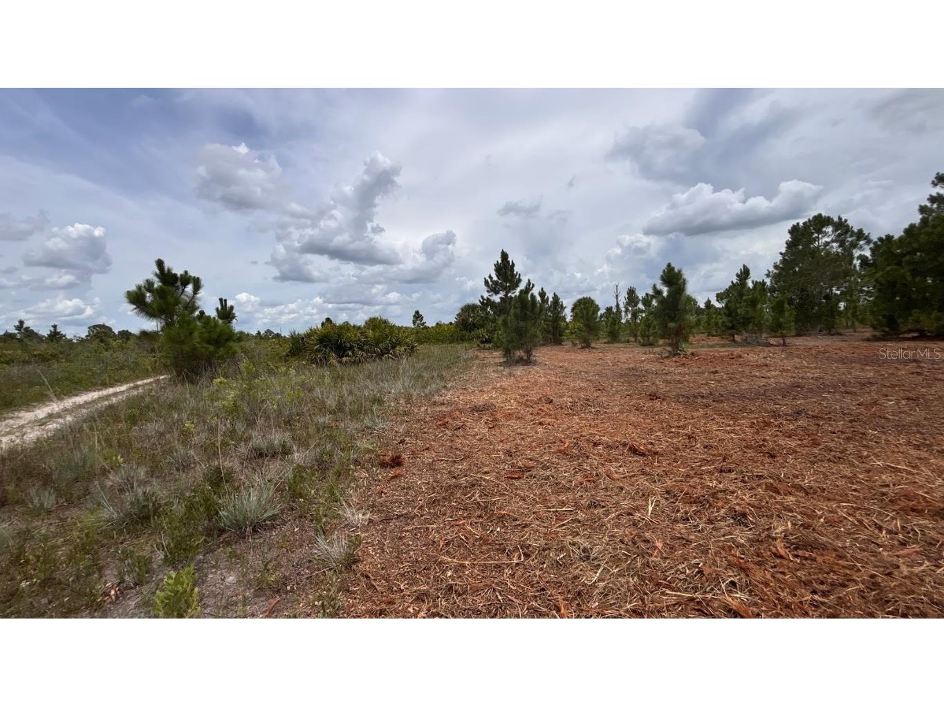 18121 NW 304th Street Okeechobee FL 34972 S5130316 image20