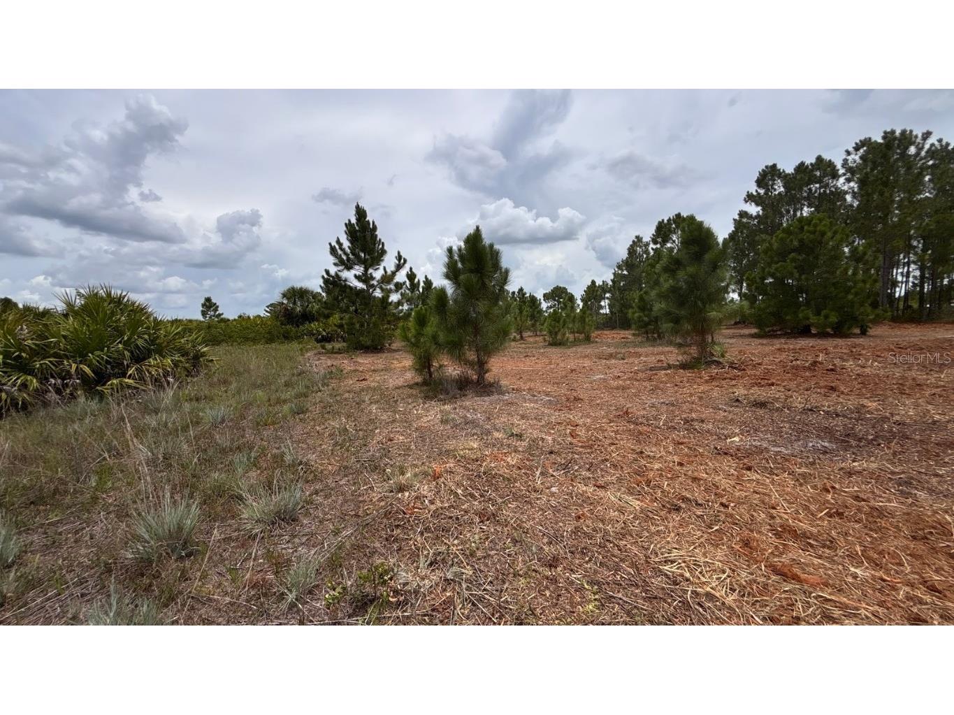 18121 NW 304th Street Okeechobee FL 34972 S5130316 image21