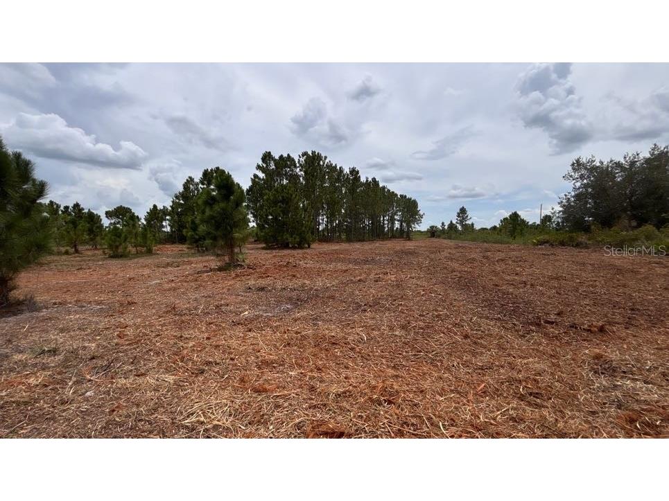 18121 NW 304th Street Okeechobee FL 34972 S5130316 image22