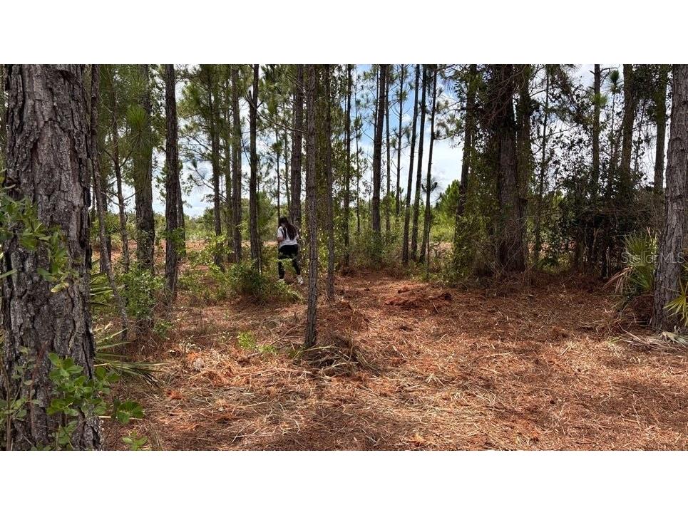 18121 NW 304th Street Okeechobee FL 34972 S5130316 image23