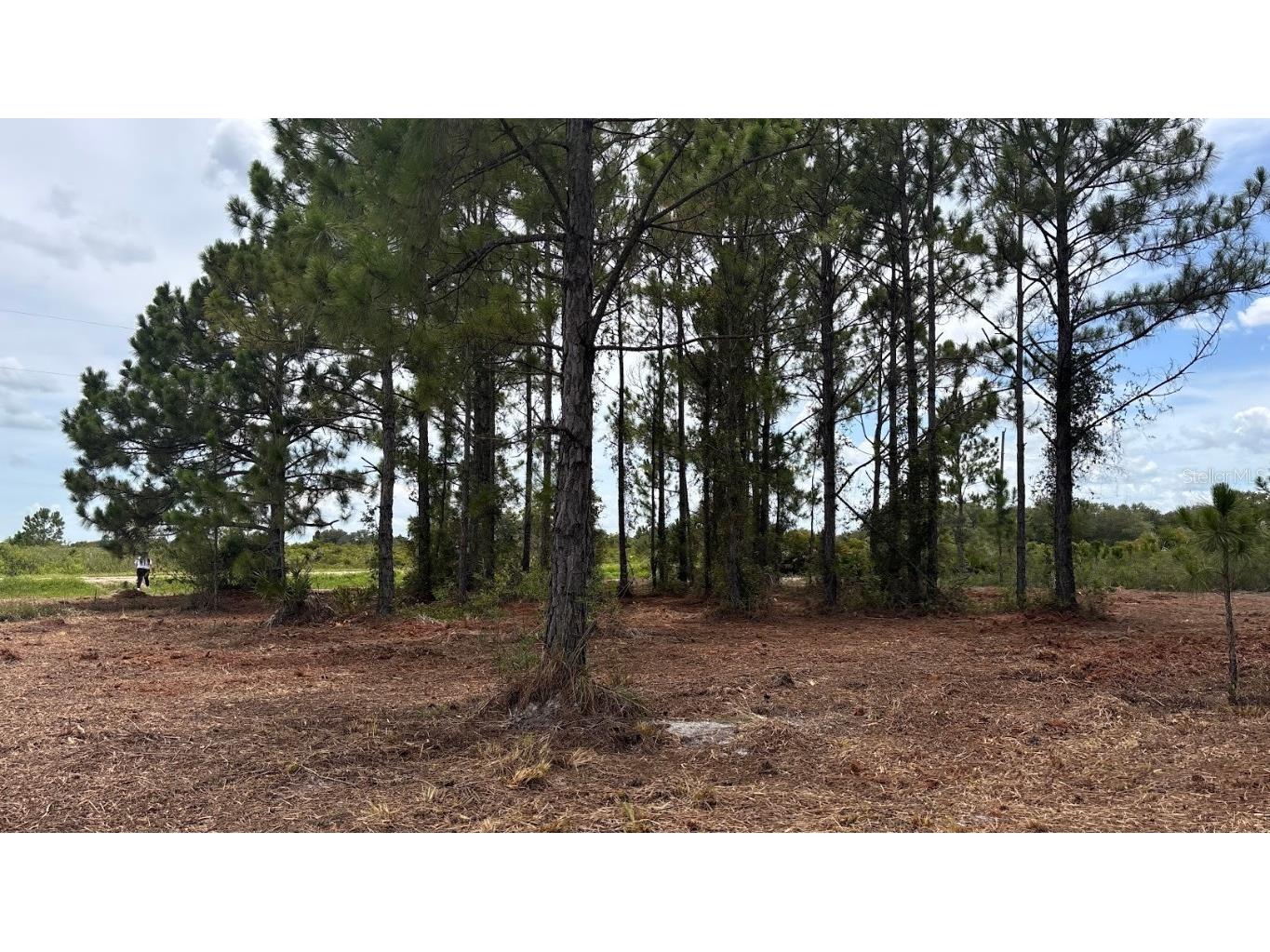 18121 NW 304th Street Okeechobee FL 34972 S5130316 image25