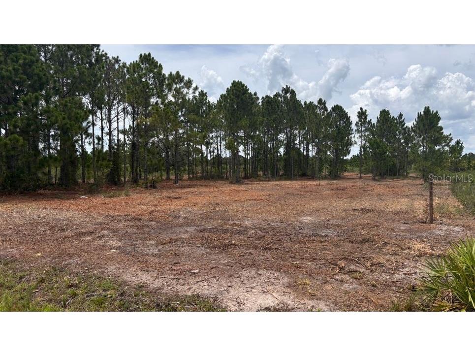 18121 NW 304th Street Okeechobee FL 34972 S5130316 image3