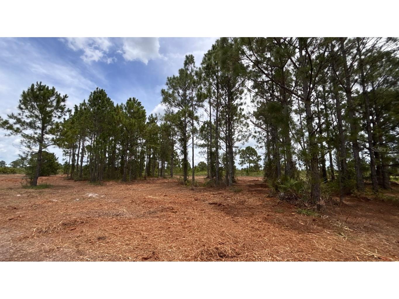 18121 NW 304th Street Okeechobee FL 34972 S5130316 image4