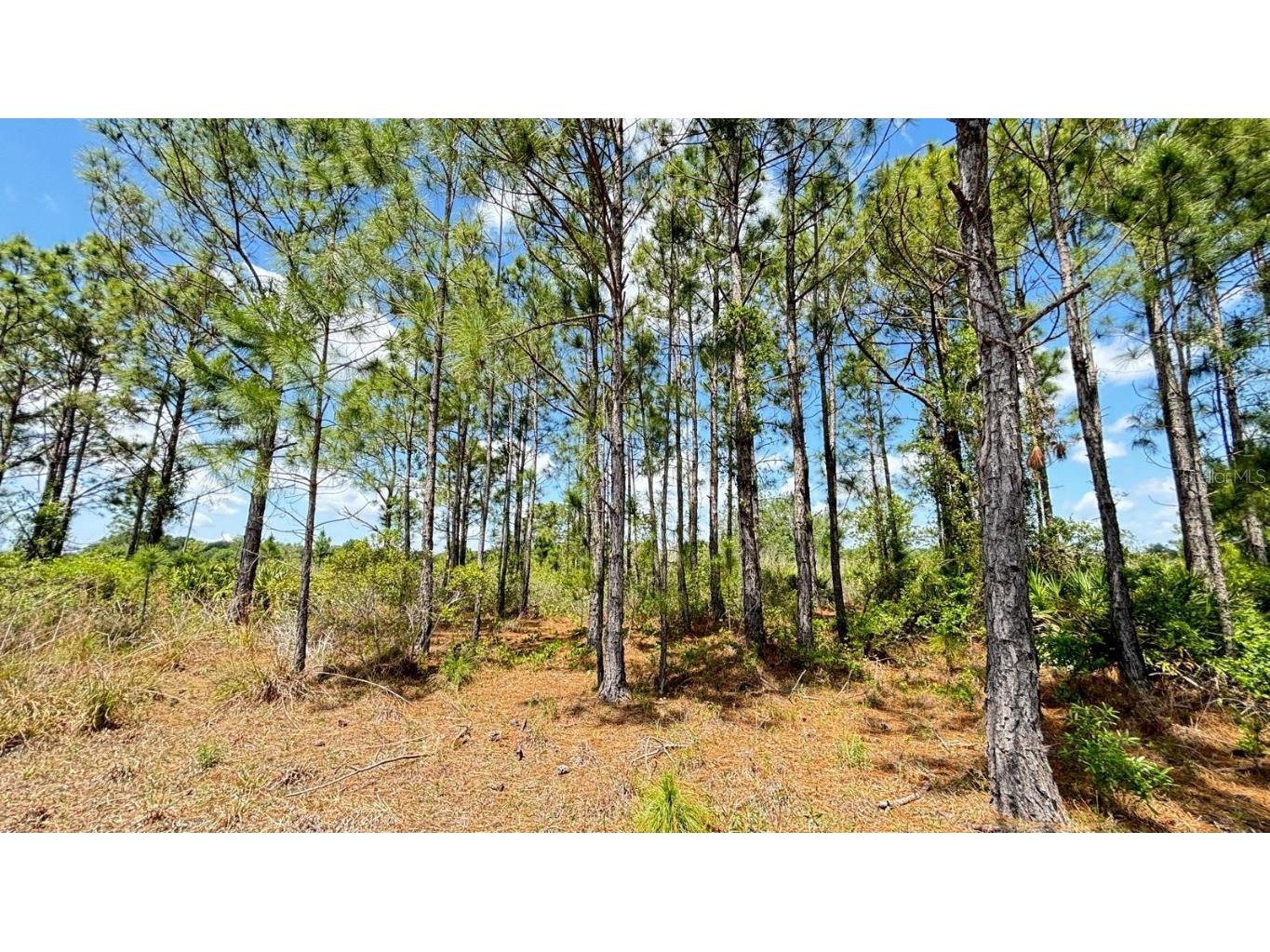 18121 NW 304th Street Okeechobee FL 34972 S5130316 image6