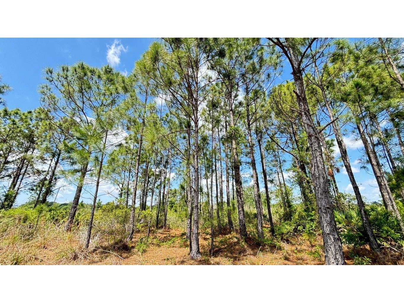 18121 NW 304th Street Okeechobee FL 34972 S5130316 image7