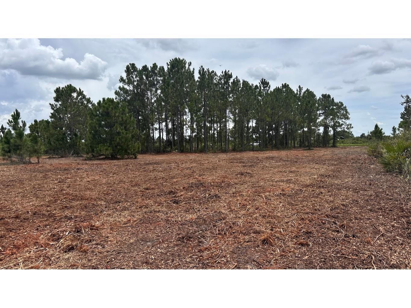 18121 NW 304th Street Okeechobee FL 34972 S5130316 image8