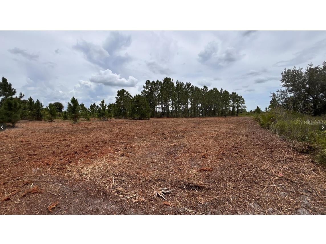 18121 NW 304th Street Okeechobee FL 34972 S5148624 image1