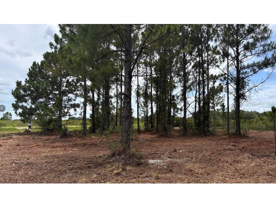 18121 NW 304th Street Okeechobee FL 34972 S5148624 image3