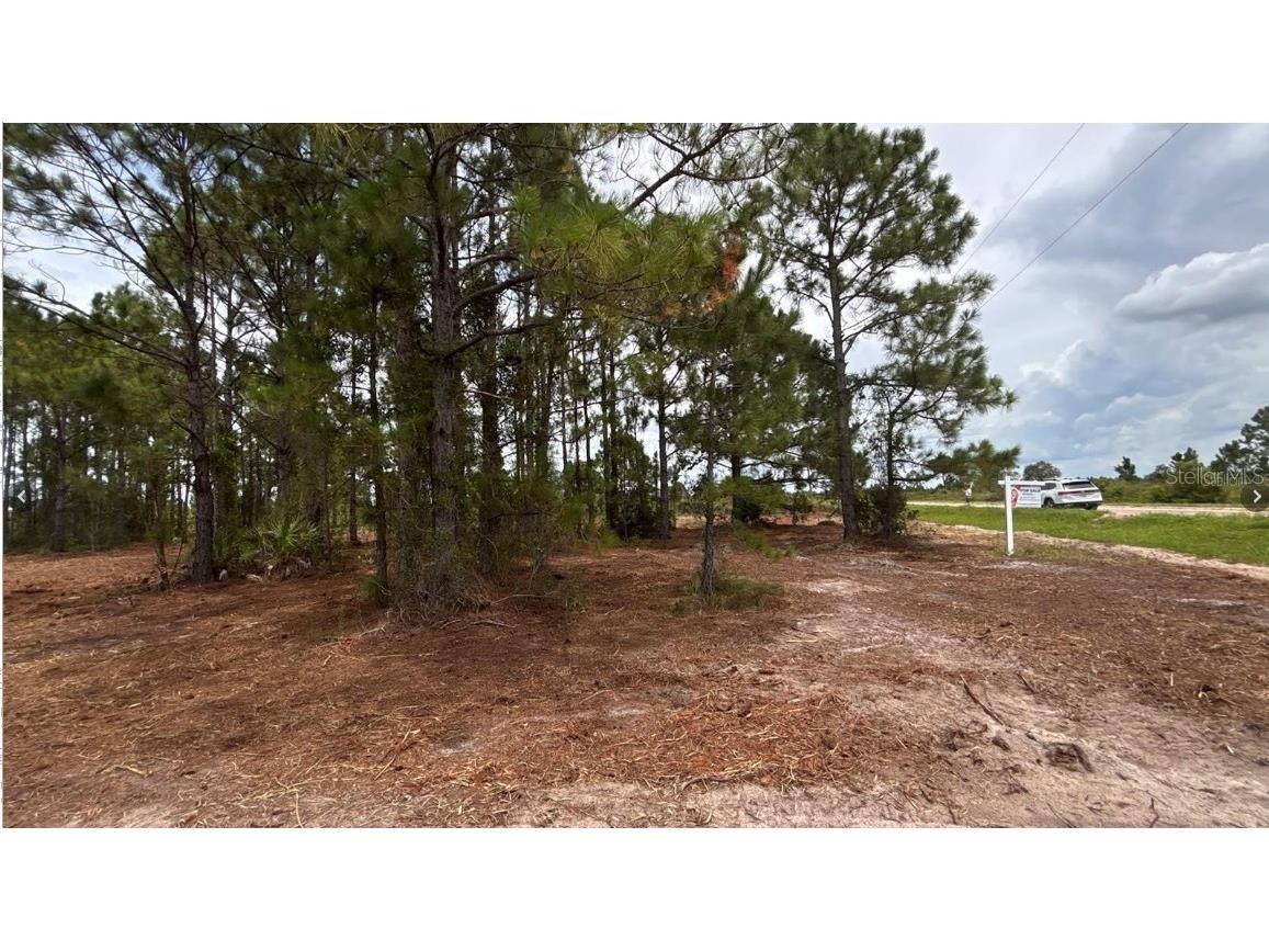 18121 NW 304th Street Okeechobee FL 34972 S5148624 image6