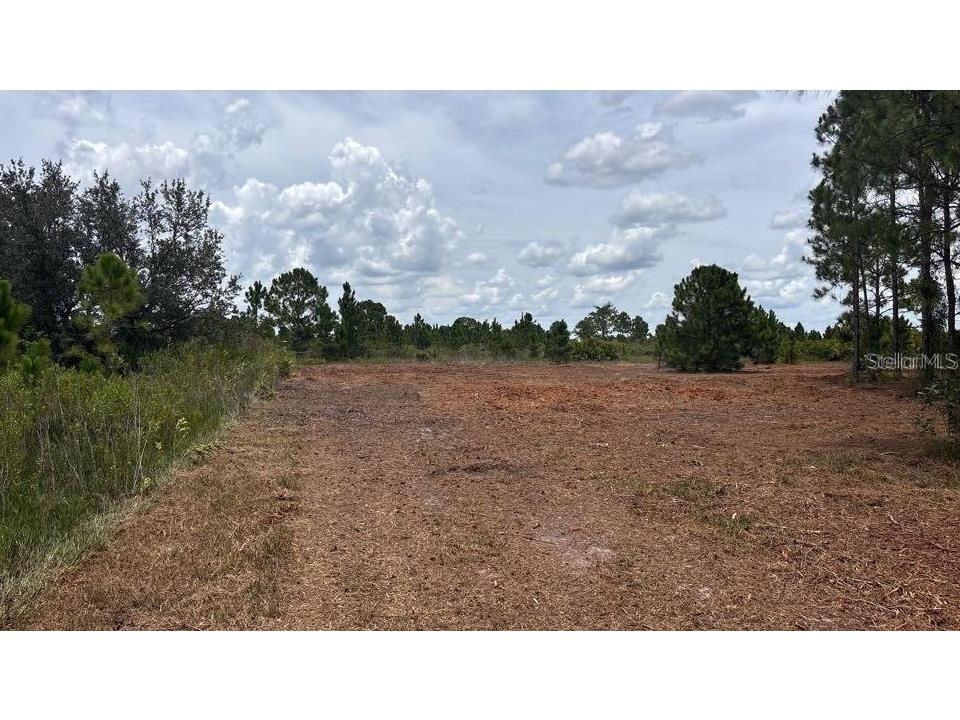 18121 NW 304th Street Okeechobee FL 34972 S5148624 image9