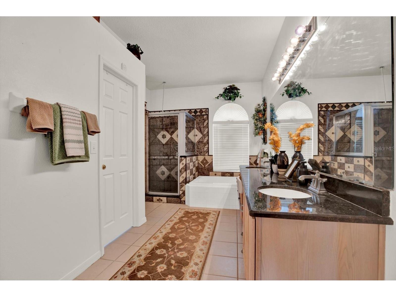 18123 Kara Court Tampa FL 33647 TB8505316 image29